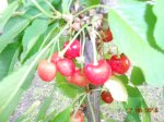 DSCN3217.JPG