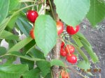 DSCN3219.JPG