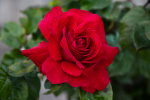 upload_2015-6-19_17-31-12.png