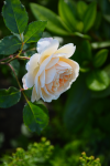 upload_2015-6-20_20-21-45.png