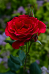 upload_2015-6-20_20-22-49.png