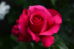 upload_2015-6-22_19-25-4.png