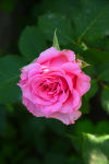 upload_2015-6-22_19-27-8.png
