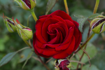 upload_2015-6-26_22-32-53.png