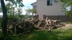 WP_20150627_001.jpg