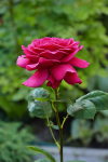 upload_2015-6-28_21-34-44.png