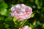 upload_2015-6-28_21-35-34.png