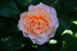 upload_2015-6-29_21-26-48.png
