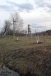 20150403_170328-КТП.jpg