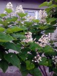 20150628_140713.jpg