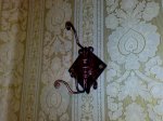 18042010457.jpg