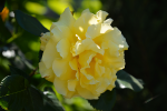 upload_2015-7-4_15-47-24.png