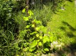 DSCN2950.JPG