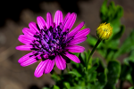 upload_2015-7-5_17-37-48.png