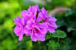 upload_2015-7-5_17-38-11.png