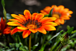 upload_2015-7-5_17-38-37.png