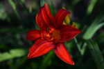 upload_2015-7-8_22-20-46.png