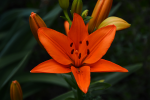 upload_2015-7-8_22-22-32.png