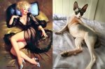 r2_fototelegraf.ru_erotika-koshki-1_57a887f9.jpg