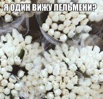 2401145239.jpg