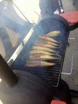 204743545_8_644x461_mangal-barbekyu-koptilnya-_rev007.jpg