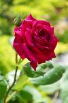 upload_2015-7-14_17-7-42.png