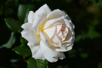 upload_2015-7-14_17-8-46.png