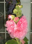 1-0882-1.jpg