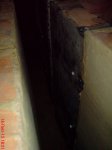 DSC00412.JPG