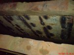 DSC00420.JPG
