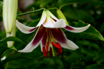 upload_2015-7-18_23-6-36.png