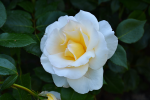 upload_2015-7-20_22-26-57.png