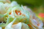 upload_2015-7-24_20-55-37.png