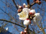 IMG_5625.JPG