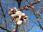 IMG_5627.JPG