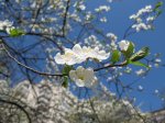 IMG_5771.JPG