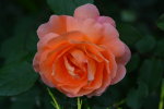 upload_2015-7-29_10-40-1.png