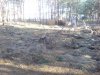 DSC01532.jpg