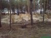 DSC01550.jpg