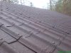 DSC01517.jpg