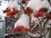 IMG_3478.JPG