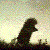 avatar283.gif