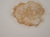 DSC01236.jpg