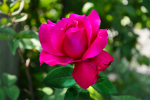 upload_2015-8-2_14-9-40.png