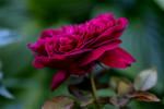 upload_2015-8-3_21-25-5.png