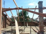 20150801_144904.jpg