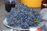 DSC_9158.JPG
