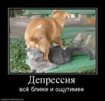 FgfwzW4DE8uwGNiLp1aI0buhqqTS_svbBRtqpRCaMXeesATn4Houb3bkPJFOjZI16hhpWQ _500x500x100.jpg