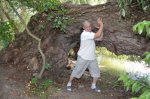 DSC_0372.JPG