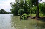 DSC_0396.JPG